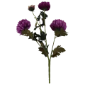 VIP6460 FG107 (1).png