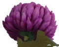 VIP6460 FG107 (3).png