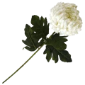 VIP2191 M004 (1).png