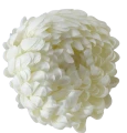 VIP2191 M004 (2).png
