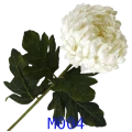 VIP2191 M004t.png
