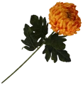 VIP2191 M019 (1).png