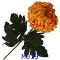 VIP2191 M019t.png