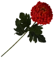 VIP2191 M028 (1).png