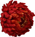 VIP2191 M028 (2).png