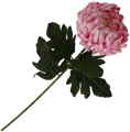 VIP2191 M067 (1).png