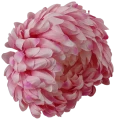 VIP2191 M067 (2).png