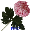 VIP2191 M067t.png