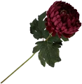 VIP2191 M095 (1).png