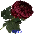 VIP2191 M095t.png