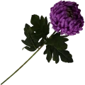VIP2191 M107 (1).png