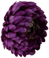 VIP2191 M107 (2).png