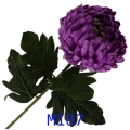 VIP2191 M107t.png