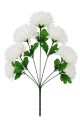 asc240220-mix biały (1).png