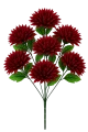 asc240220-mix czerwony (1).png