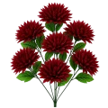 asc240220-mix czerwony (2).png