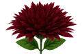 asc240220-mix czerwony (3).png