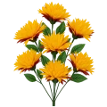 asc240220-mix pomaranczowy (2).png