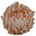 Chryzantema Główka Wyrobowa Ananas 15 x 9 cm VIP2192-FG09 6 Sztuk (1) T.png