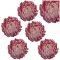Chryzantema Główka Wyrobowa Ananas 15 x 9 cm VIP2192-FG67 6 Sztuk (3).png